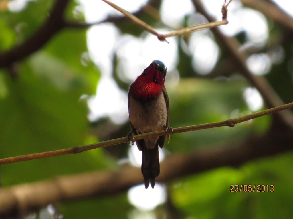 Hotel Mount View Heritage Panchgani Buitenkant foto